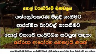 පොල් වගාව ආශ්‍රිත ව්‍යාපාරික කෘෂිකර්මයට අත්වැලක්...