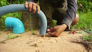 Simple Unique Wild Chicken Trap Using PVC Pipe & Wood