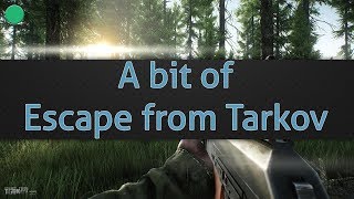 A bit of Escape from Tarkov