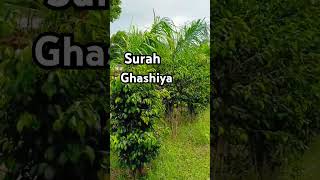 #TRANSLATION#SURAH GHASHIYA AAYATH 1-6#QURAN#SHORTS