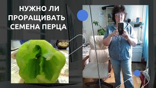 Нужно ли проращивать семена перца