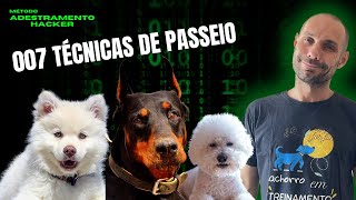 007 TÉCNICAS QUE MELHORAM SUBSTANCIALMENTE OS PASSEIOS