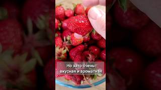 Своя Домашняя #shorts #shortvideo #клубника