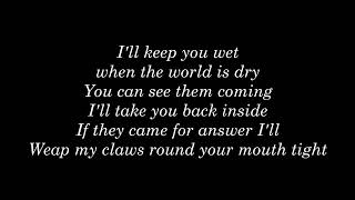 Marilyn Manson - Wight Spider (Lyrics)