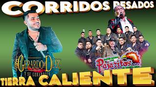 Gerardo Diaz ft Los Pajaritos De Tacupa -100% Tierra Caliente Mix - Corridos Y Rancheras Perronas