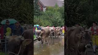 Brauchtum Toggenburg Appenzell