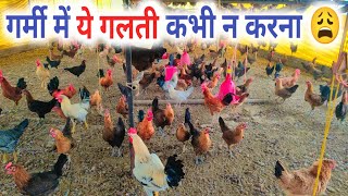 सोनाली मुर्गी अण्डे के लिए भूल कर न पालना #sonalimurgipalan #desipoultryfarming #sonalimurgi