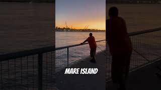 Fishing At Mare Island #shortfeed #shorts #fishing #mareisland