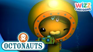 @Octonauts - Deep Midnight Dives | Compilation | Wizz Cartoons