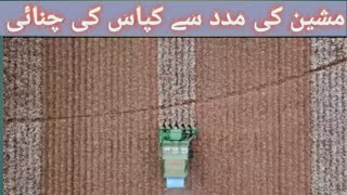 Cotton #picking Machine 2022|shahidagrarian