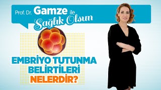 Embriyo Transferi Nedir? Nasıl Yapılır? Tutunma Belirtileri Nelerdir? - Profesör Doktor Gamze Sinem