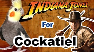 Indiana Jones whistle for cockatiels - cockatiel whistle training