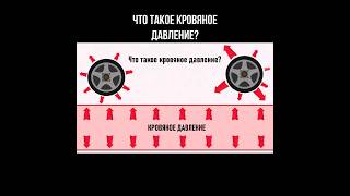 Что такое кровяное давление? #гипертония #кровяноедавление #давление #давлениевысокое