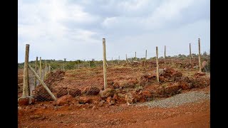 1/8 Acre PLOTS FOR SALE in Kimuka, NGONG