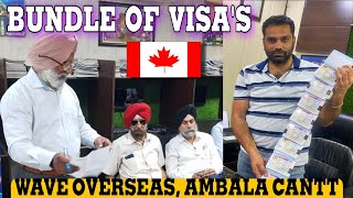 BUNDLE of Canadian 🇨🇦 STUDY VISA'S. WAVE OVERSEAS, AMBALA CANTT+91 98966 99074