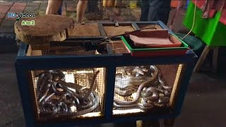 Cobra Blood In Indonesia Street Food! You Never See This Type Of Foods In Your Life Time! Hoo My God