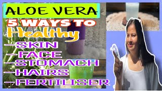 *ALOE VERA* 5 Ways to Healthy FACE,SKIN,HAIRS,STOMACH & PLANT FERTILISER #aloevera #minigarden #vlog