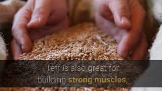 🆕Superfood Benefits Of Teff Grain Teff Grain Benefits For Health Solution