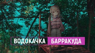 водокачка — барракуда