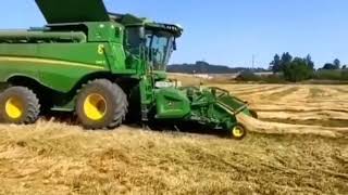 Grass seed harvest