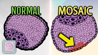 Successful IVF with mosaic embryo transfer