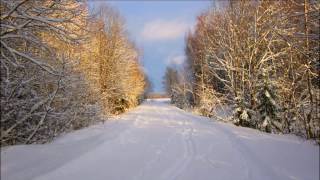 Поиск зайца. Следы в огороде.  Search hare. Footprints in the garden.