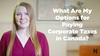 Options For Paying Corporate Taxes In Canada | True North Accounting