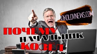 Почему начальник козёл? | #Моновлог