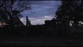 52 años de Hora del Campo en el Aire