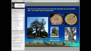 Carbon Sequestration in Oak Woodlands- Dr. Tom Scott