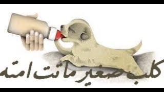 كلب صغير ماتت امه ولا يعرف انها توفت. صورة حية. ..