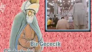 Mevlana derki; Bir gececik uyuma........