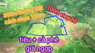 Bán 4ha2 tiêu + cà phê ôm view hồ 100m giá ngộp. 0987326906