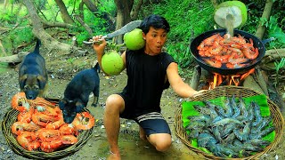 Survival in the rainforest- Cook shrimp with coconut for dog  | eat shrimp and cucumber -Eating