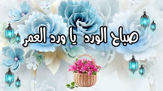 صباح الورد يا أحلى ورد 🌺#صباح_الخير  أجمل حالات واتس صباحية ⚘️#ستوريات #اغاني صباحية