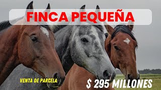 FINCA PEQUEÑA EN VENTA EN FLORIDA VALLE DEL CAUCA