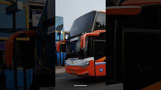 Po rosalia indah double decker scania k410 karoseri laksana #busmania #bus #shorts