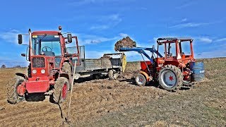 Rozrzucanie Obornika 2019 | Mtz 82 & T25 | Podkarpacie | GoPro