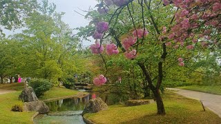 🇧🇪 One day in Hasselt: Japanse Tuin en stadscentrum (België, Belgium)