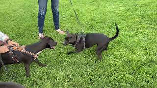 Simon with his siblings