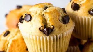 The BEST Chocolate Chip Muffins