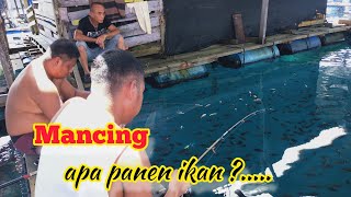 Mancing ikan di laut, seperti mancing di aquarium ‖ Ikannya nampak, tinggal pilih.