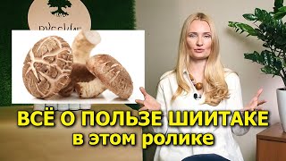 ГРИБ ШИИТАКЕ. Уникальные лечебные свойства высших грибов. Нутрициолог о китайской медицине.