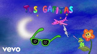 KAROL G - Tus Gafitas (Visualizer)