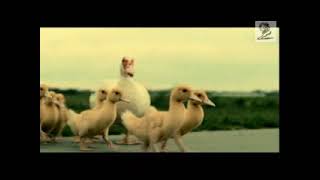 Austrian Animal Welfare Association: Emergency Braking (2002)