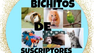 ANIMALES DE SUSCRIPTORES. 2 AVIARIO LOS NIÑOS