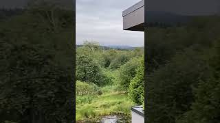 SO SERENE 🌀 NANOOSE BAY, BC 🇨🇦 ASMR NATURE