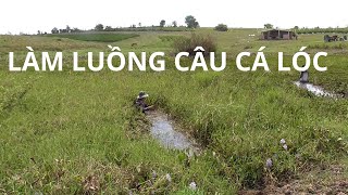 VƯỢT HƠN 100KM LÀM LUỒNG CÂU CÁ LÓC TẠI AN KHÊ