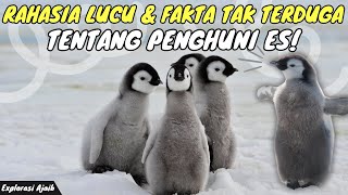 Pinguin Penghuni Es ? Inilah Beberapa Fakta Unik Pinguin Yang Wajib Kamu Ketahui Loh !