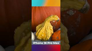 Фотобитва: iPhone 16 Pro Max против iPhone 15 Pro Max! Есть ли разница?